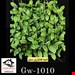 تصاویر دیوارپوش گرین وال کد GW-1010